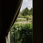 Le Sud *